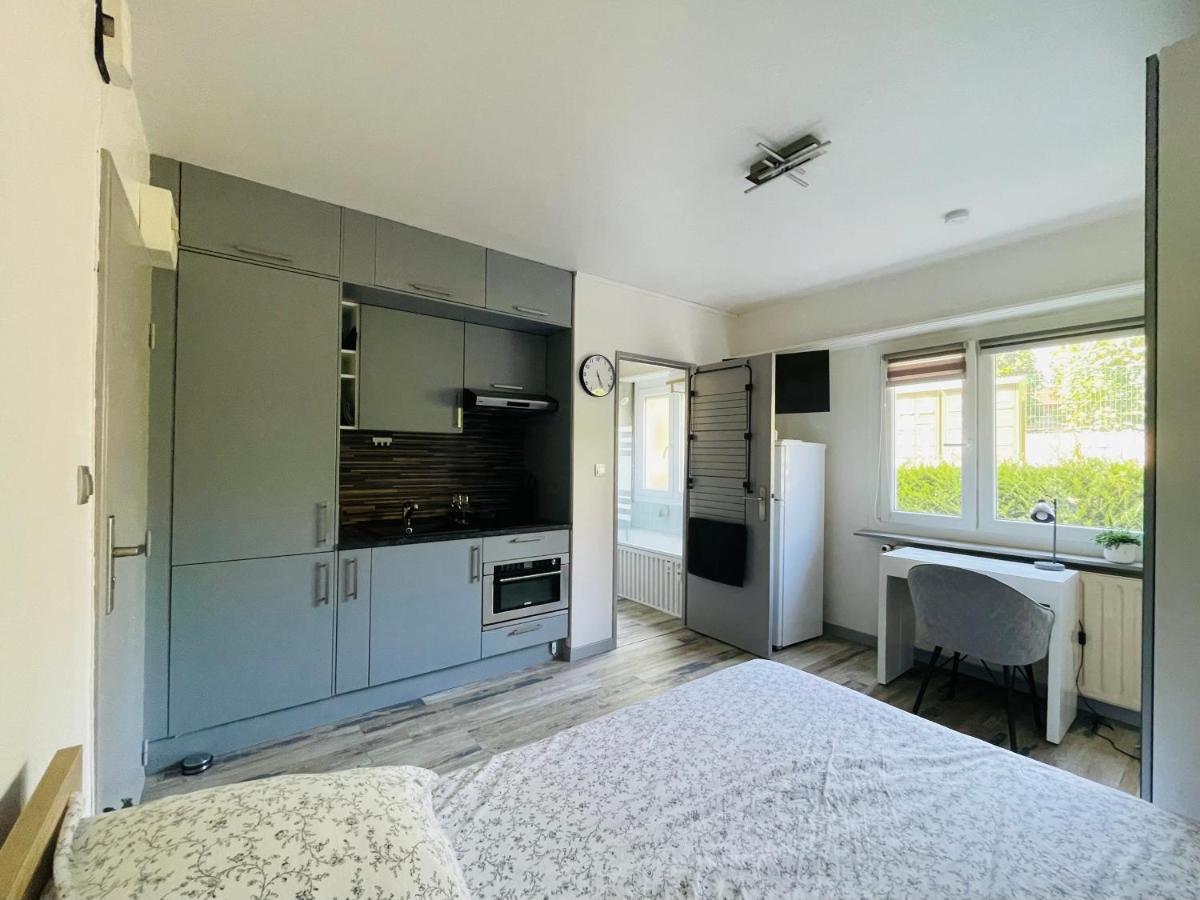 Dnn - Stylish Studio - Free Wifi, Netflix And Parking - Min Away To Basel And Airport - Dishwasher, Washing Machine Saint-Louis  Kültér fotó