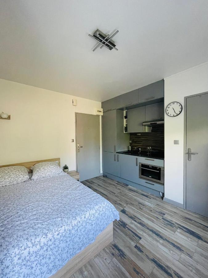 Dnn - Stylish Studio - Free Wifi, Netflix And Parking - Min Away To Basel And Airport - Dishwasher, Washing Machine Saint-Louis  Kültér fotó