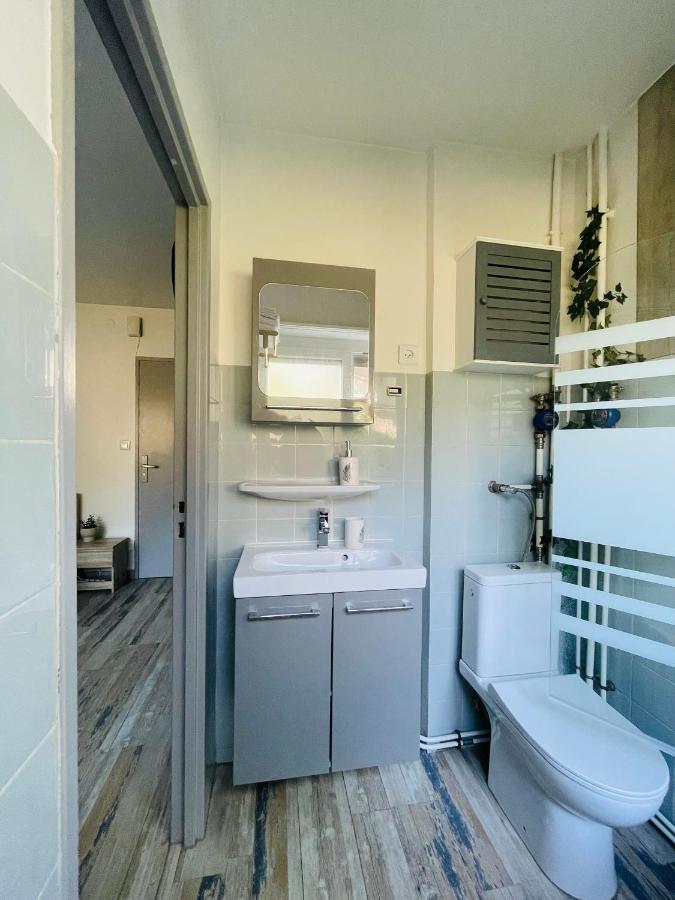 Dnn - Stylish Studio - Free Wifi, Netflix And Parking - Min Away To Basel And Airport - Dishwasher, Washing Machine Saint-Louis  Kültér fotó