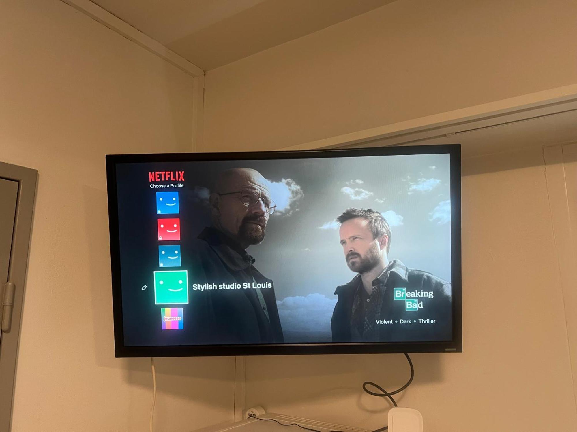 Dnn - Stylish Studio - Free Wifi, Netflix And Parking - Min Away To Basel And Airport - Dishwasher, Washing Machine Saint-Louis  Kültér fotó